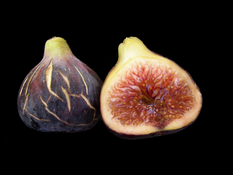California Figs: Fig Cultivars Grown Commercially - The Produce Nerd