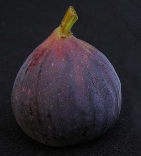 California Figs: Fig Cultivars Grown Commercially - The Produce Nerd