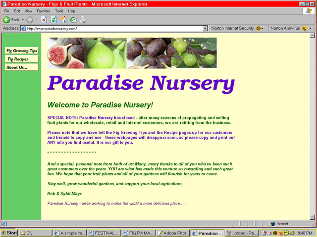 Paradise Website Nursery