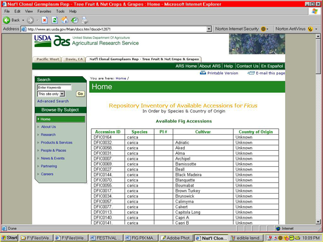 USDA Germplasm Collection