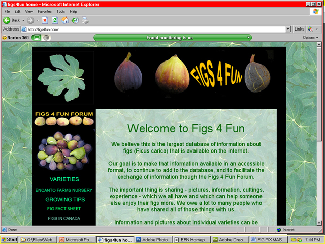 Figs 4 Fun website