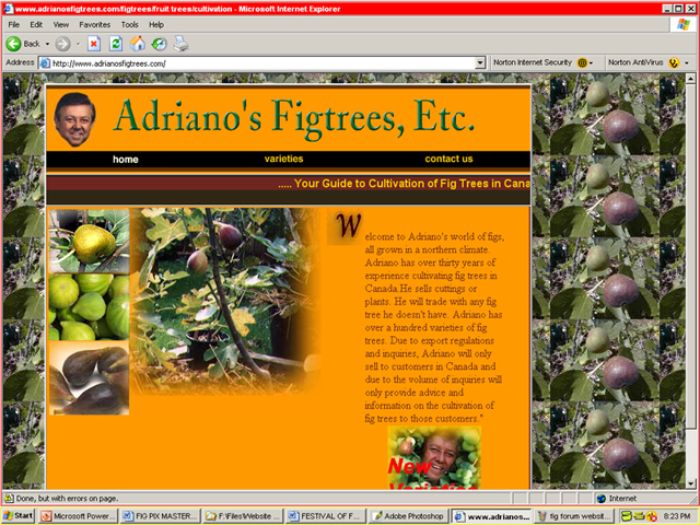 Adriano, Canadian Fig Specialist